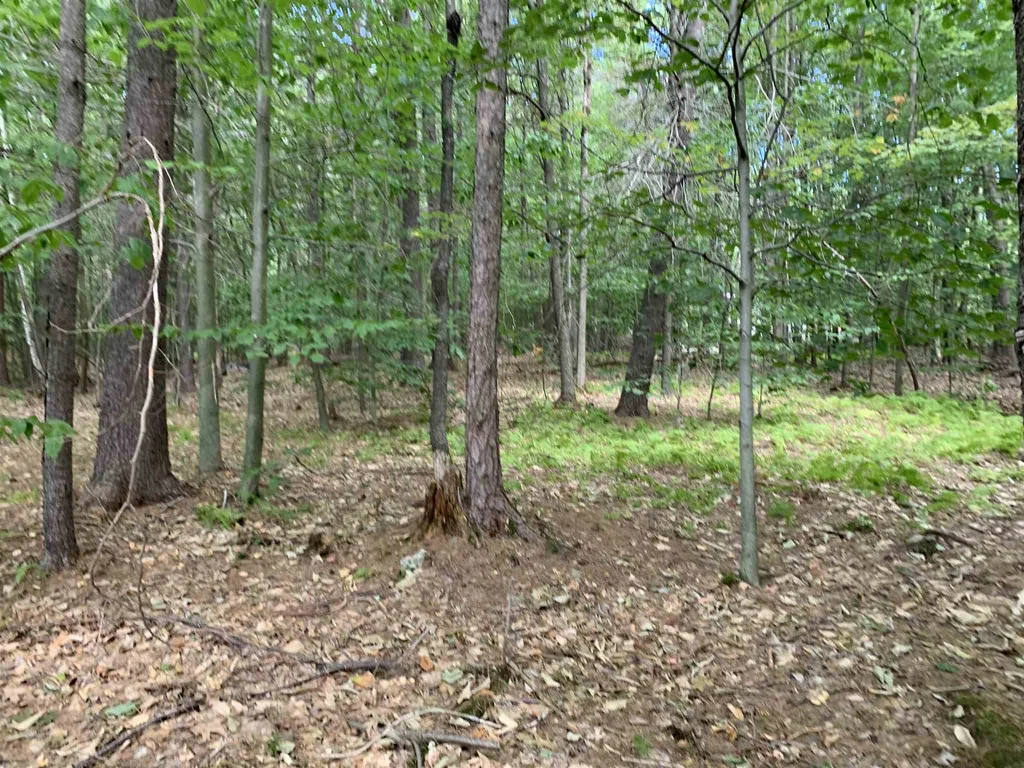 17 Powder House Lane Gilmanton NH 03237