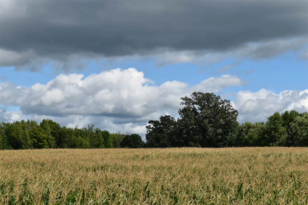Lot 3 Vt Route 22a Panton VT 05491