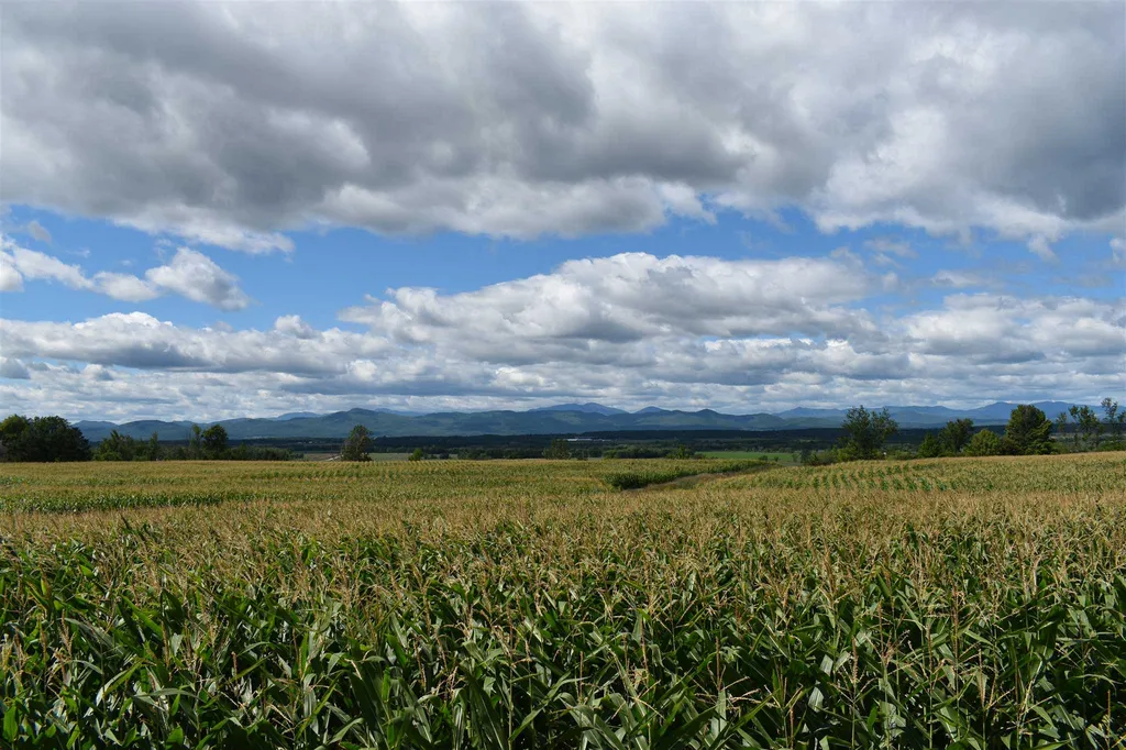Lot 3 Vt Route 22a Panton VT 05491