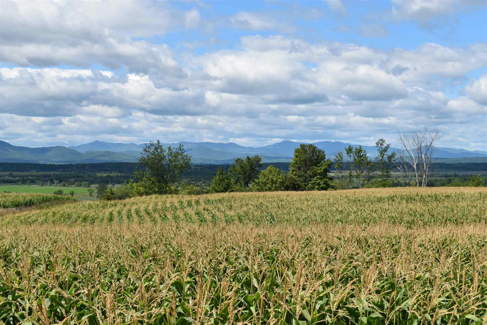 Lot 3 Vt Route 22a Panton VT 05491