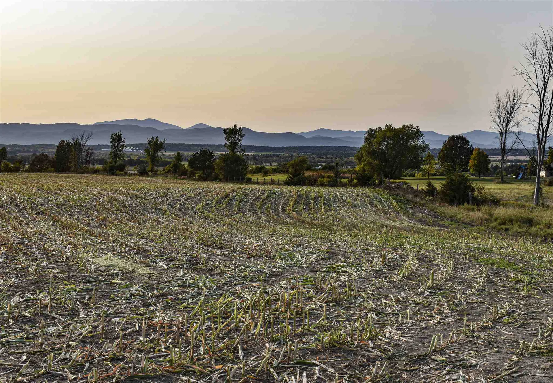 Lot 3 Vt Route 22a Panton VT 05491