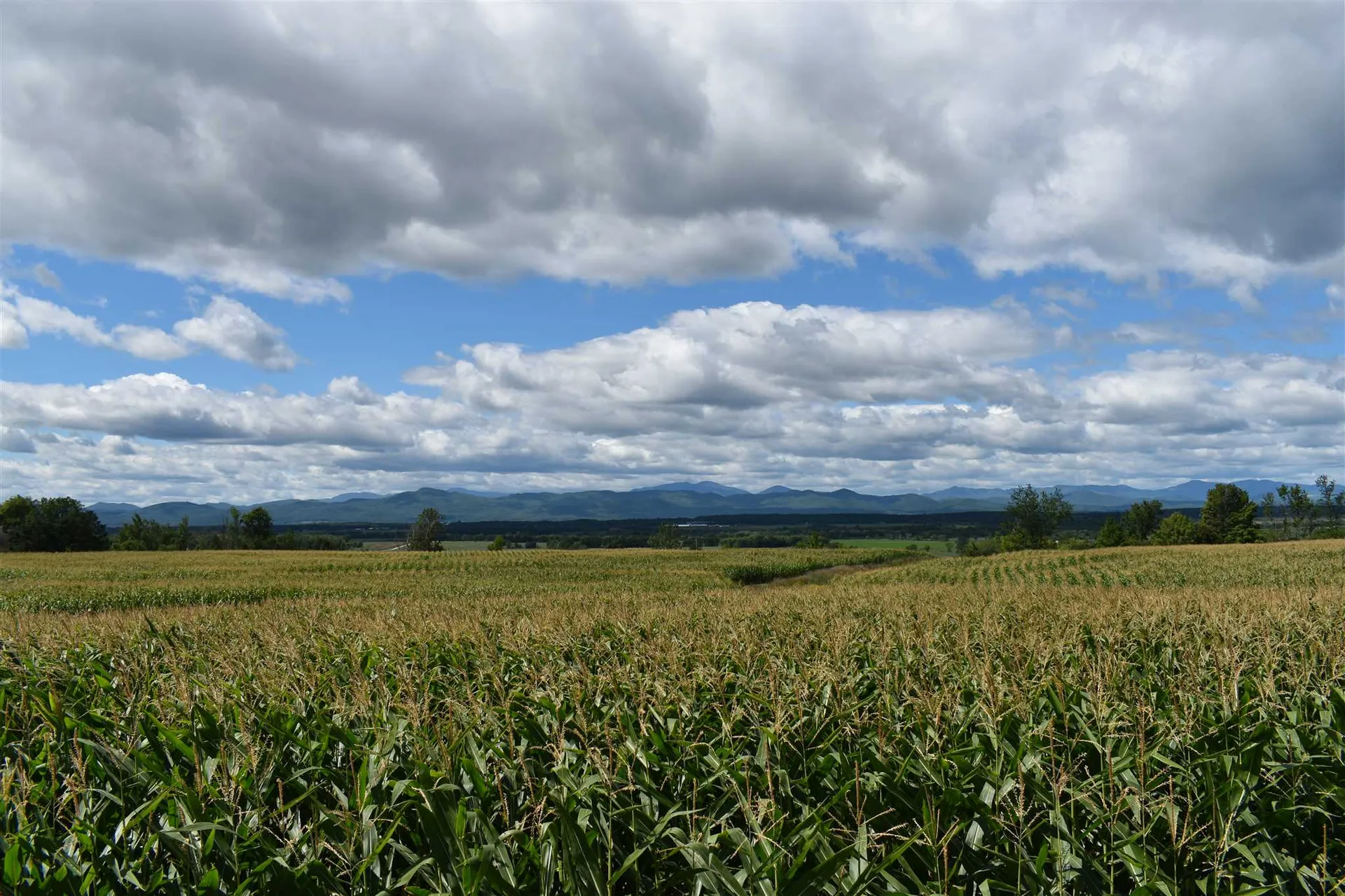 Lot 3 Vt Route 22a Panton VT 05491