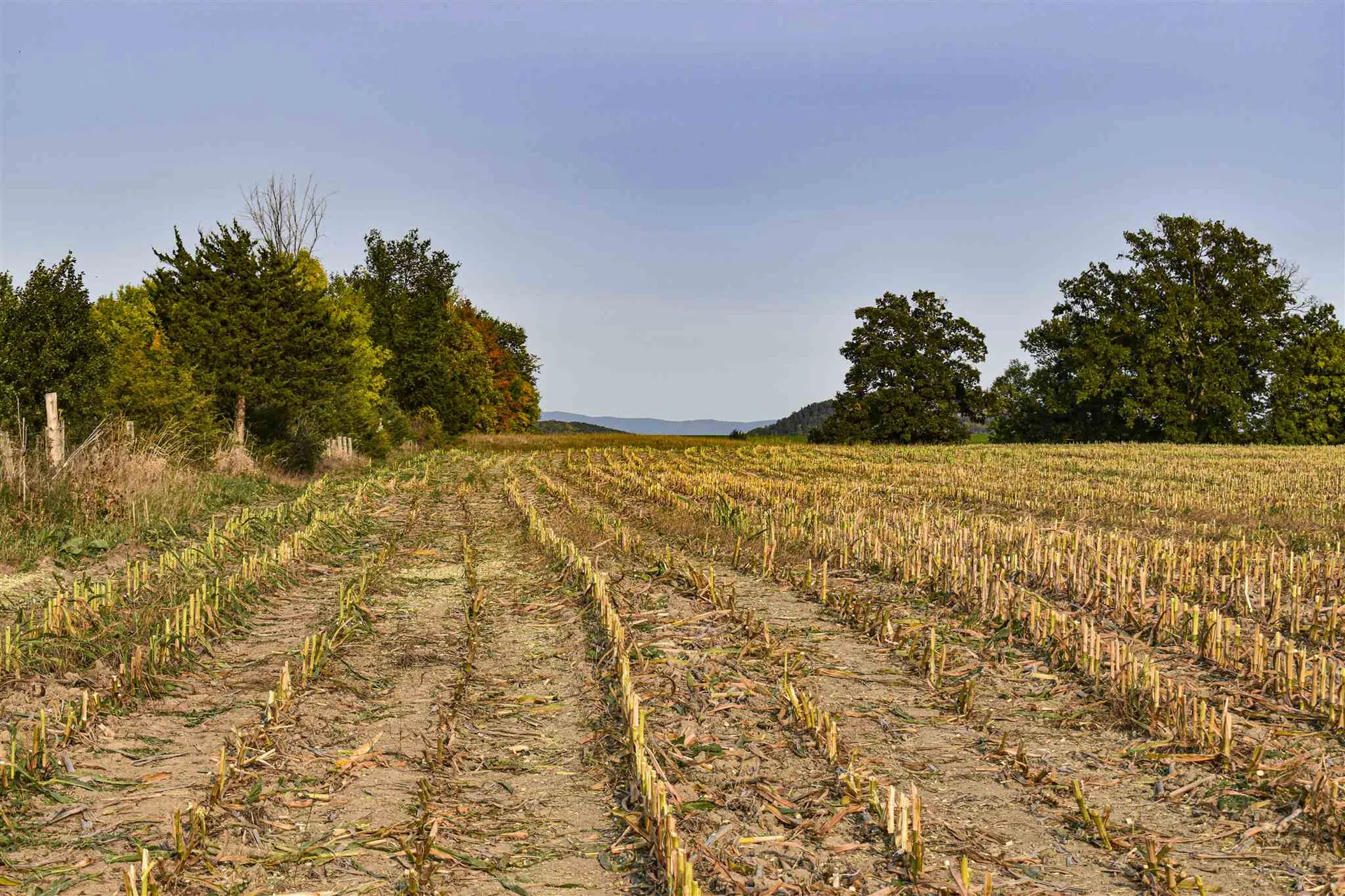 Lot 3 Vt Route 22a Panton VT 05491