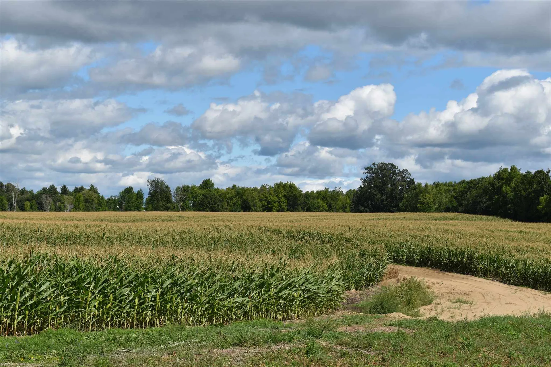 Lot 3 Vt Route 22a Panton VT 05491
