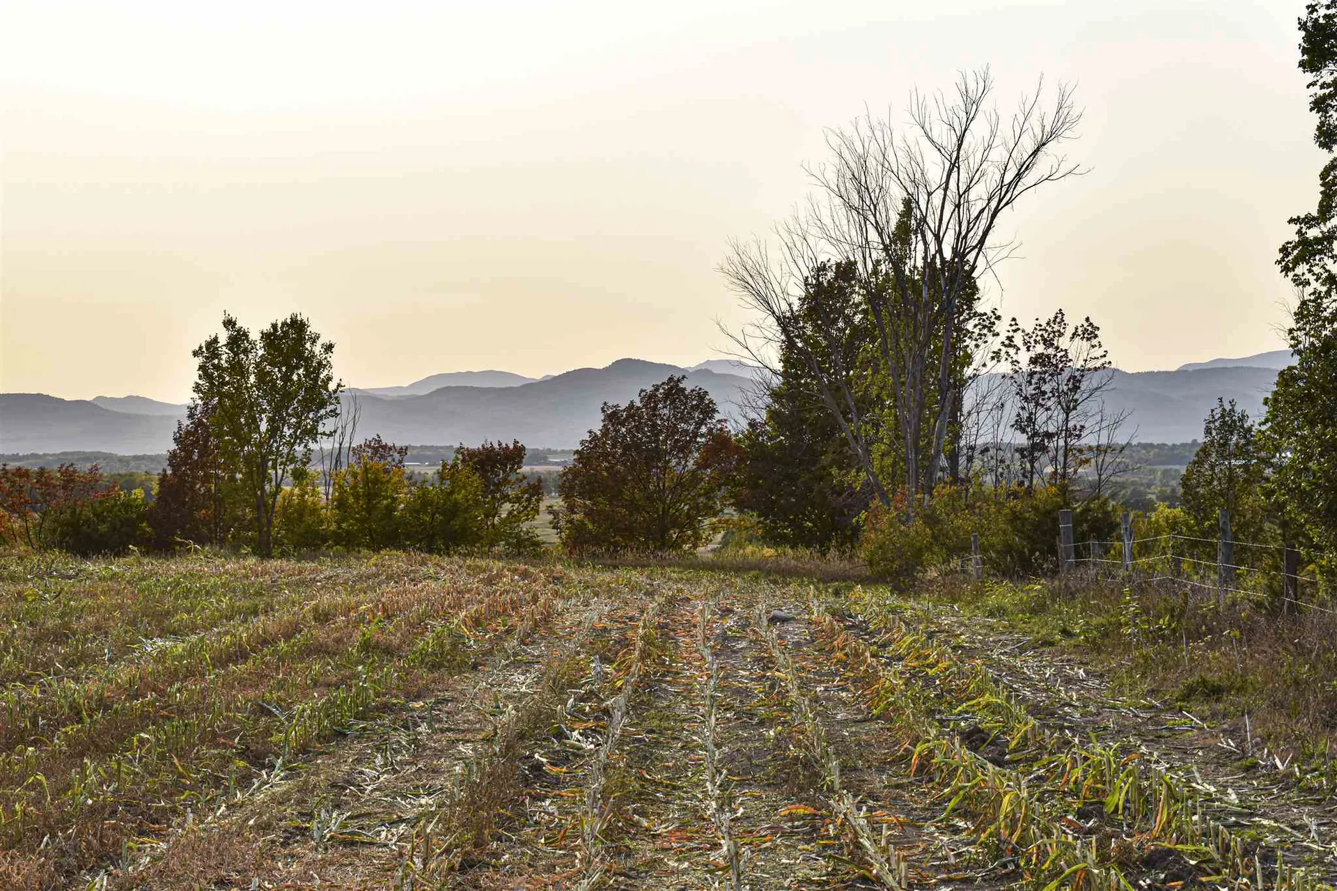 Lot 3 Vt Route 22a Panton VT 05491