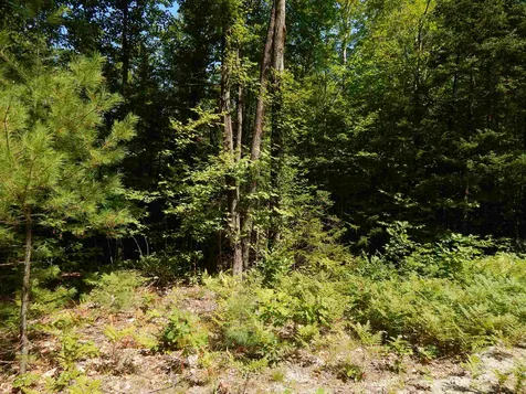 Lot #8 Chalk Pond Road Newbury NH 03255