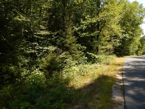Lot #8 Chalk Pond Road Newbury NH 03255