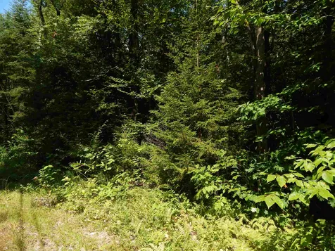 Lot #8 Chalk Pond Road Newbury NH 03255