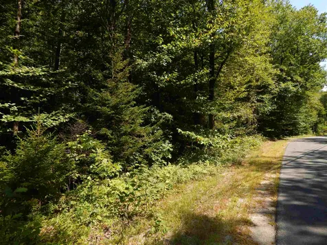 Lot #8 Chalk Pond Road Newbury NH 03255
