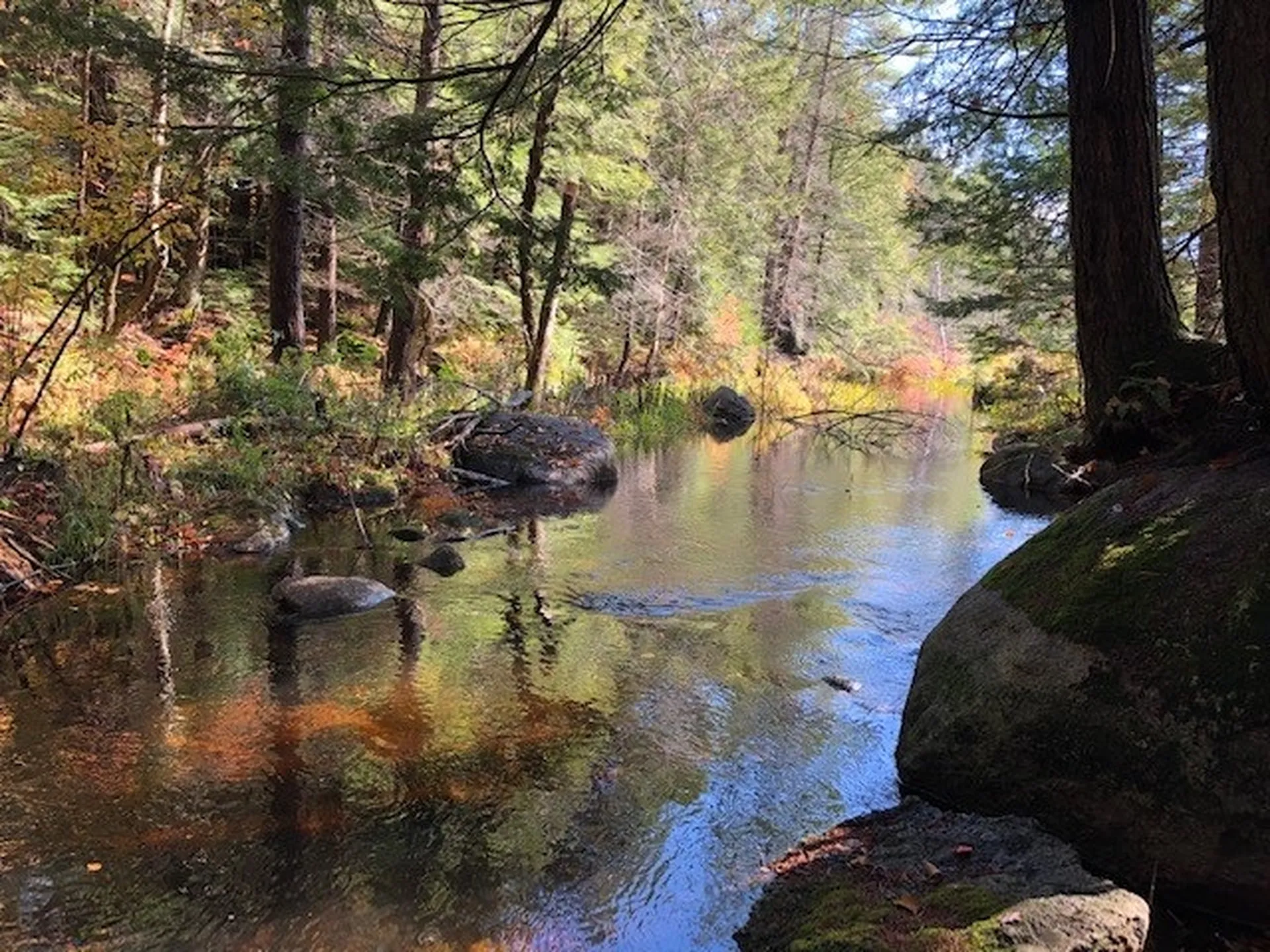 298 Abijah Bridge Road Weare NH 03281