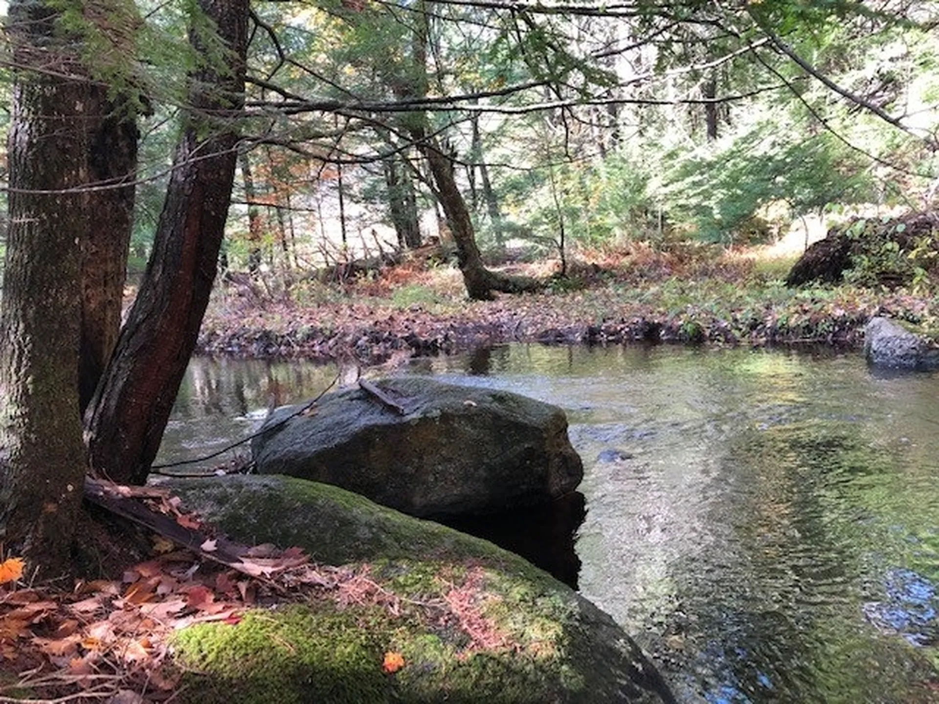 298 Abijah Bridge Road Weare NH 03281