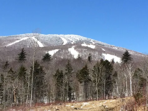 0 Gold Medal Circle Stratton VT 05155