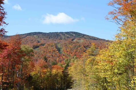 0 Gold Medal Circle Stratton VT 05155