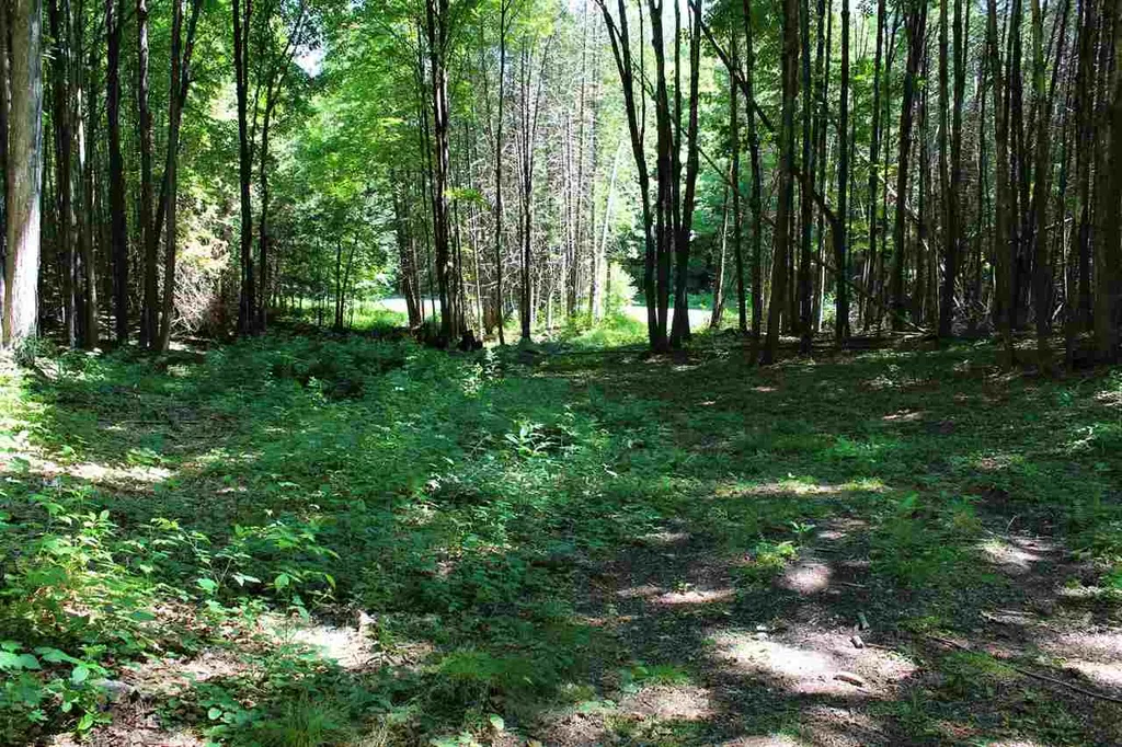 Lot #5 Snowbridge Road Barre Town VT 05641
