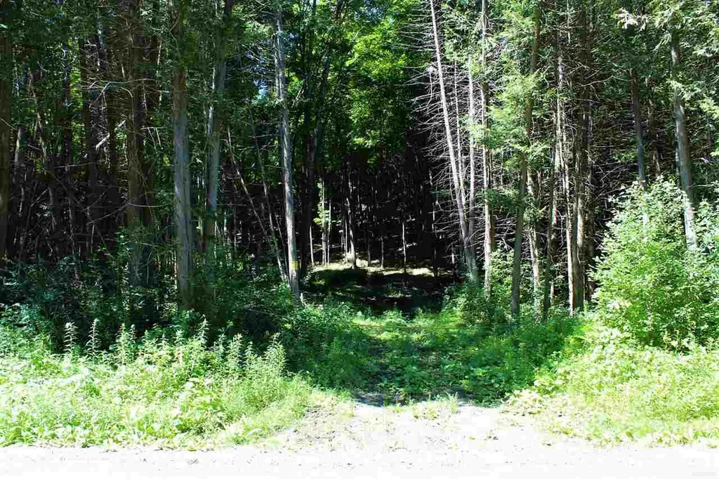 Lot #5 Snowbridge Road Barre Town VT 05641