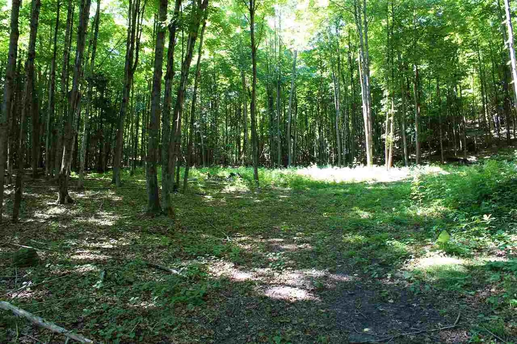 Lot #5 Snowbridge Road Barre Town VT 05641