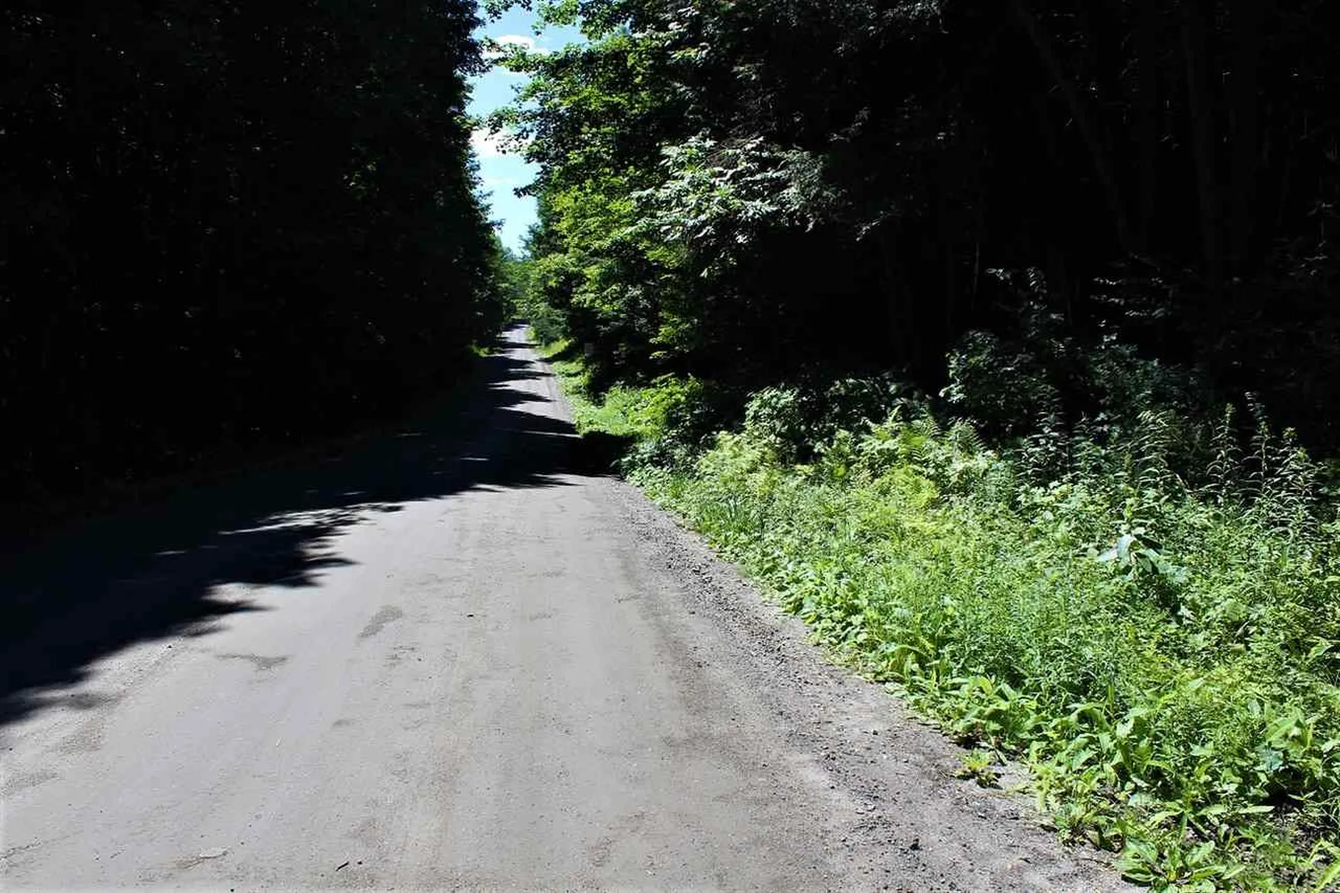 Lot #5 Snowbridge Road Barre Town VT 05641