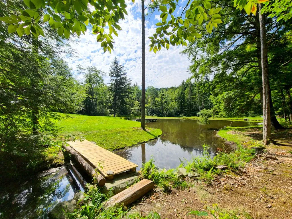 2389 Whittier Road Stockbridge VT 05032
