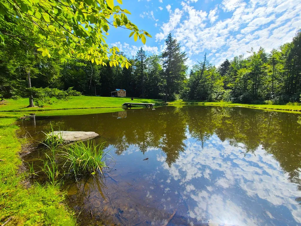2389 Whittier Road Stockbridge VT 05032