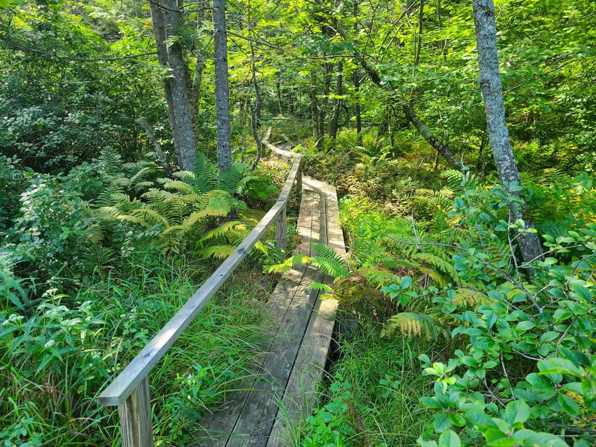 2389 Whittier Road Stockbridge VT 05032