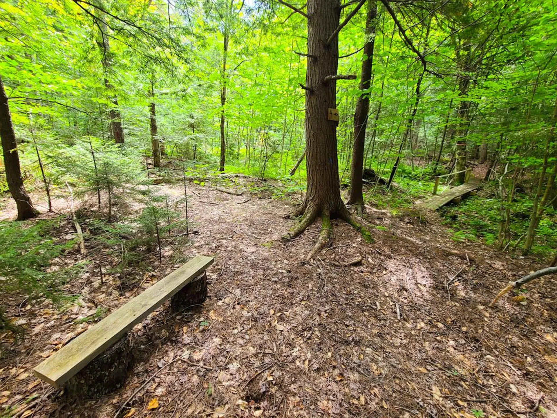 2389 Whittier Road Stockbridge VT 05032