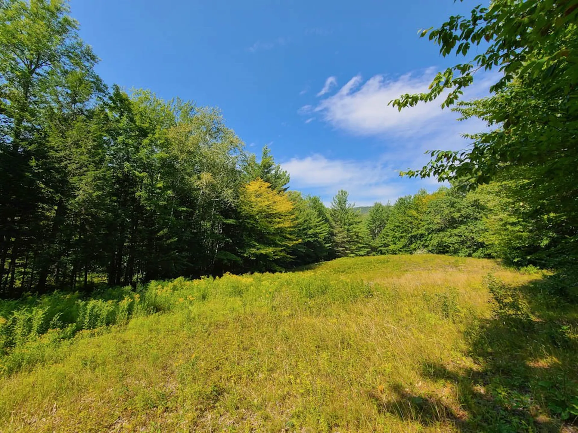 2389 Whittier Road Stockbridge VT 05032