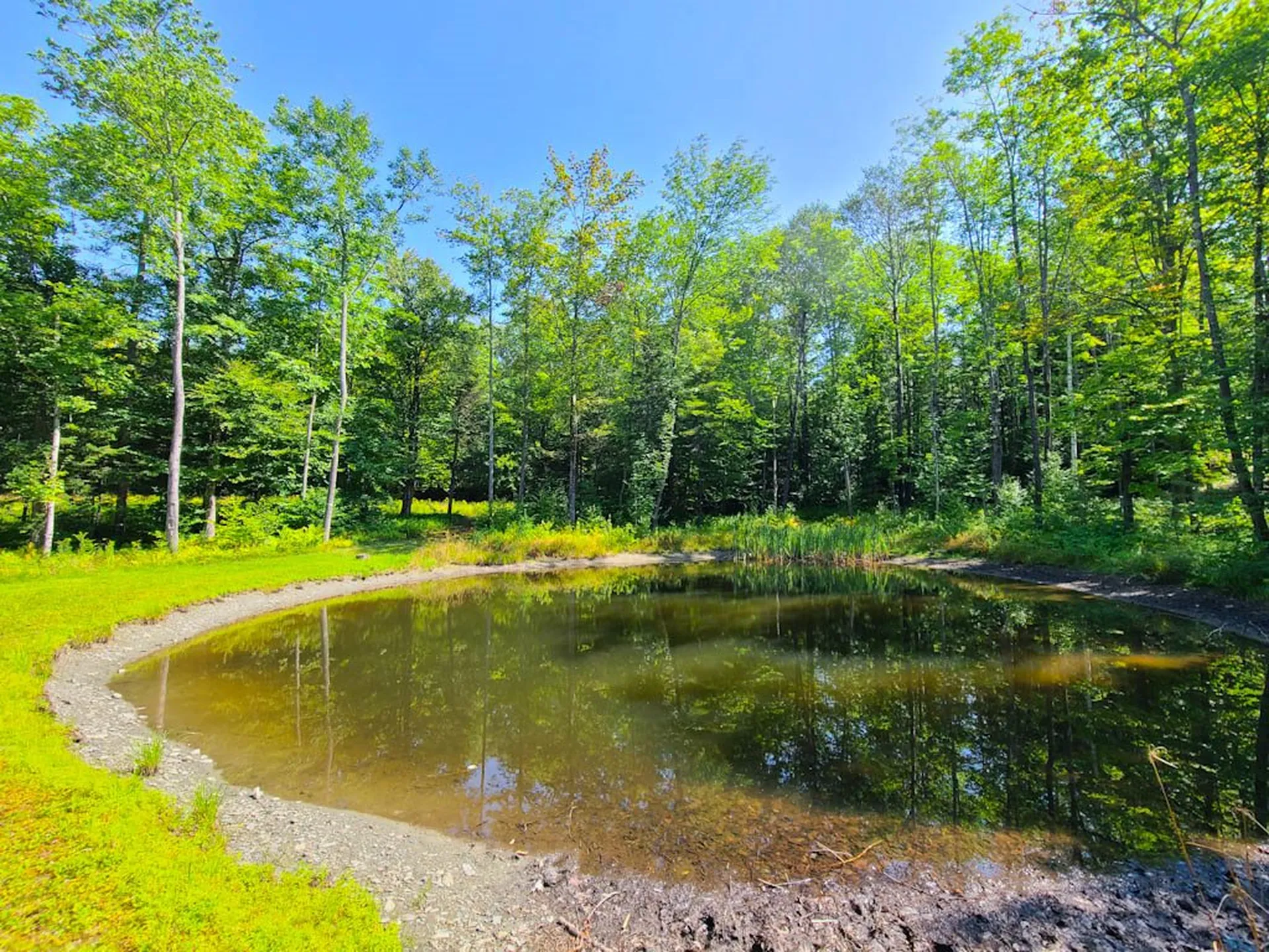 2389 Whittier Road Stockbridge VT 05032