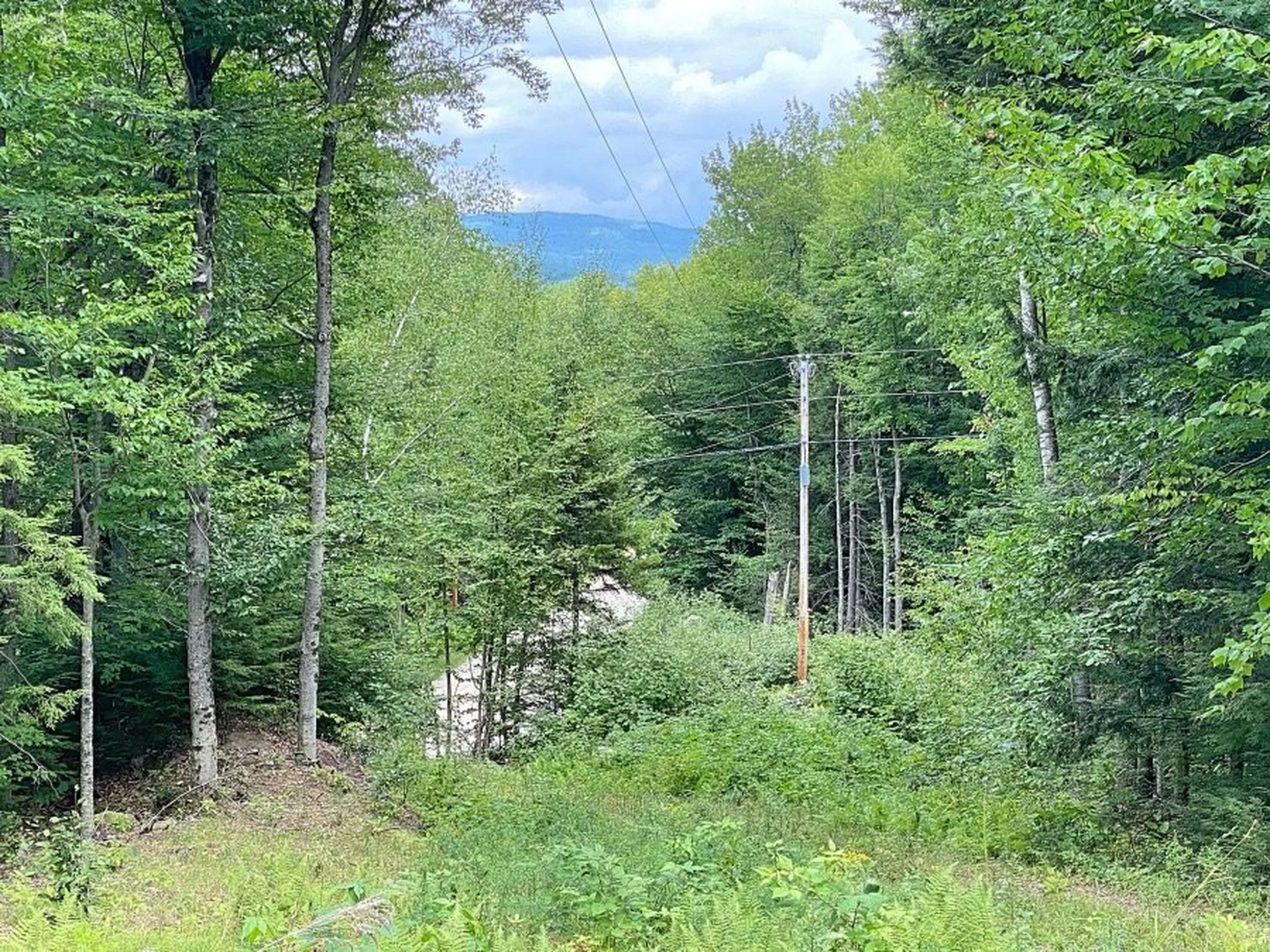 181 Dean Road Danbury NH 03230