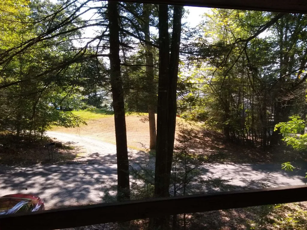 165 North Shore Road Chesterfield NH 03443