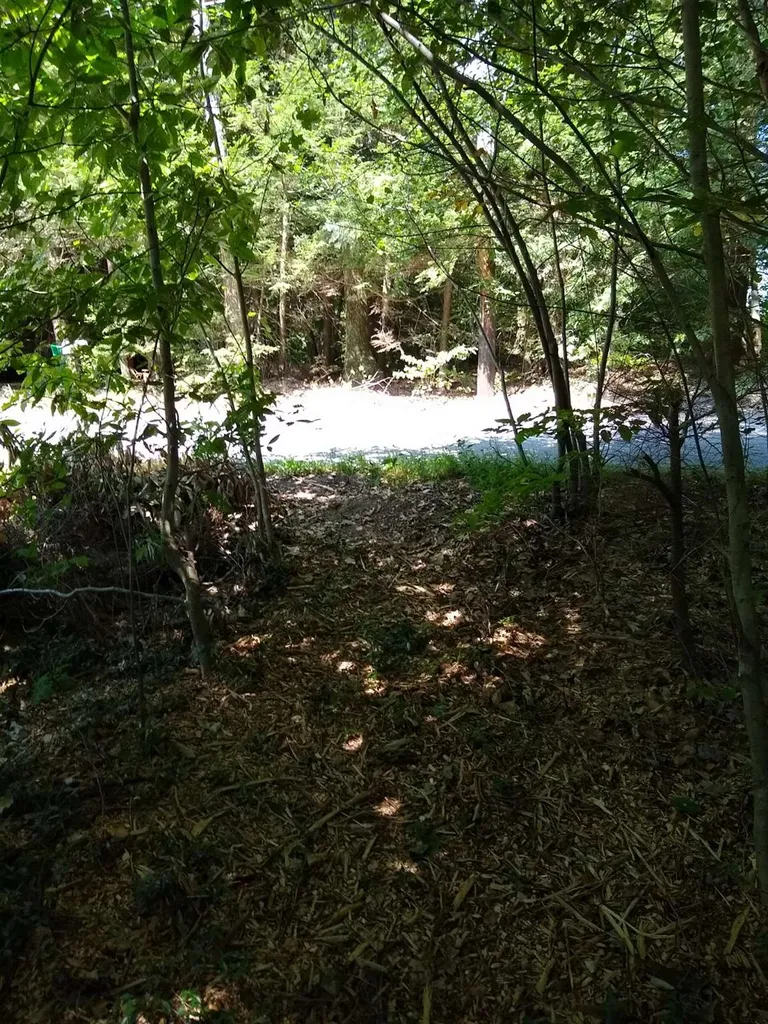 165 North Shore Road Chesterfield NH 03443