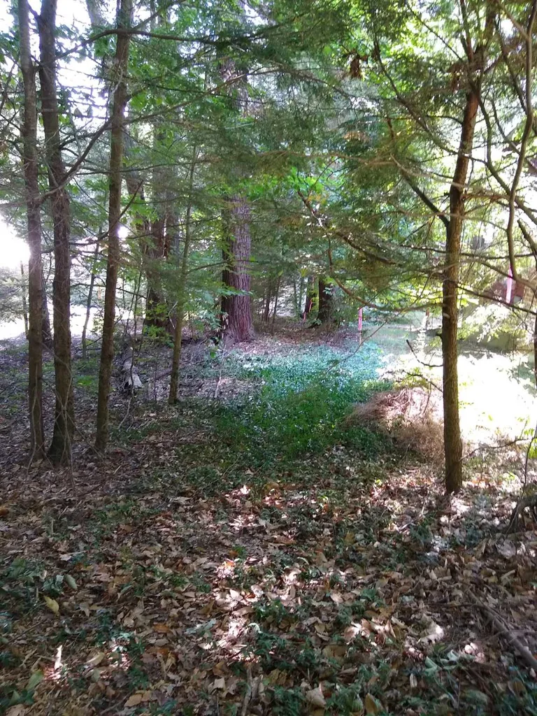 165 North Shore Road Chesterfield NH 03443