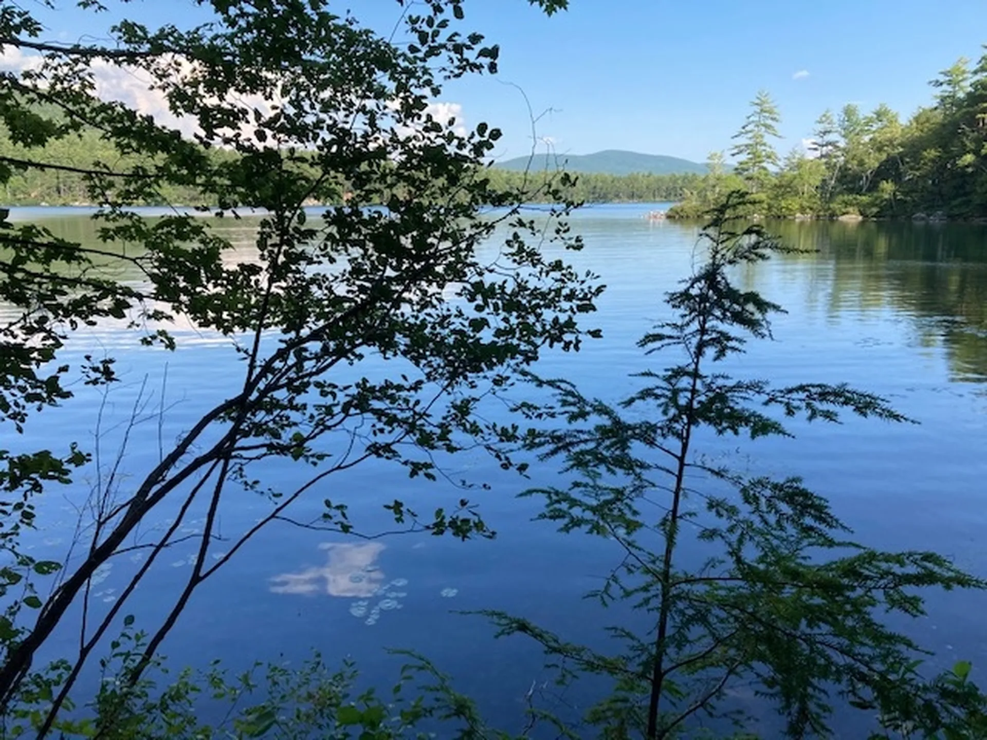 Nh Route 113 Road Holderness NH 03245
