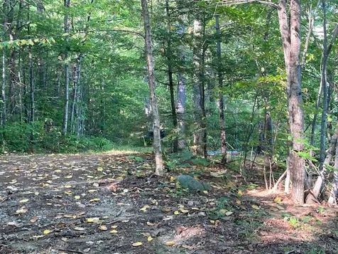 Nh Route 113 Road Holderness NH 03245