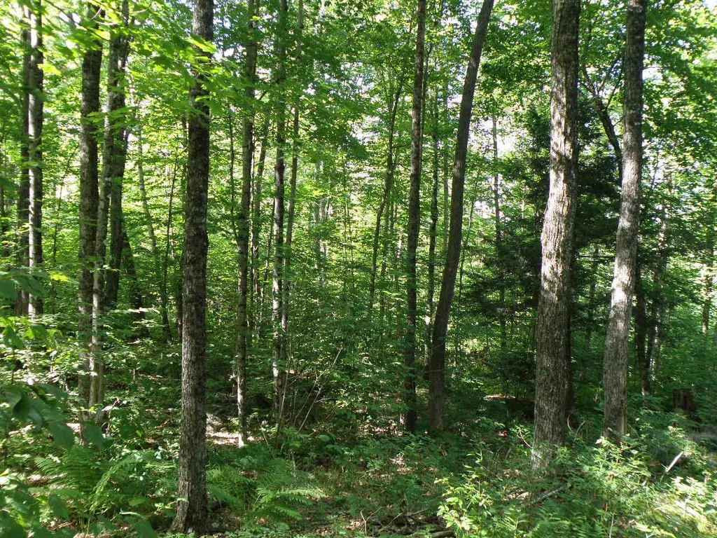 0 Byam Road Bethel VT 05032