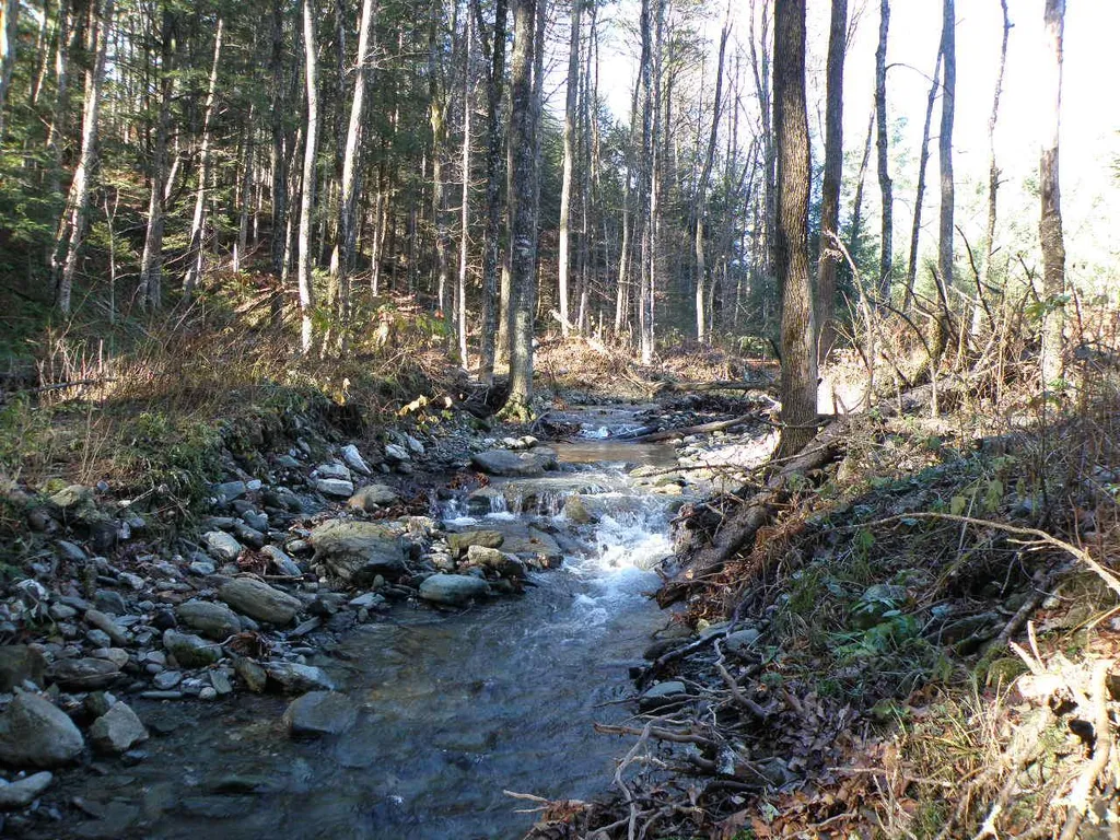 0 Byam Road Bethel VT 05032