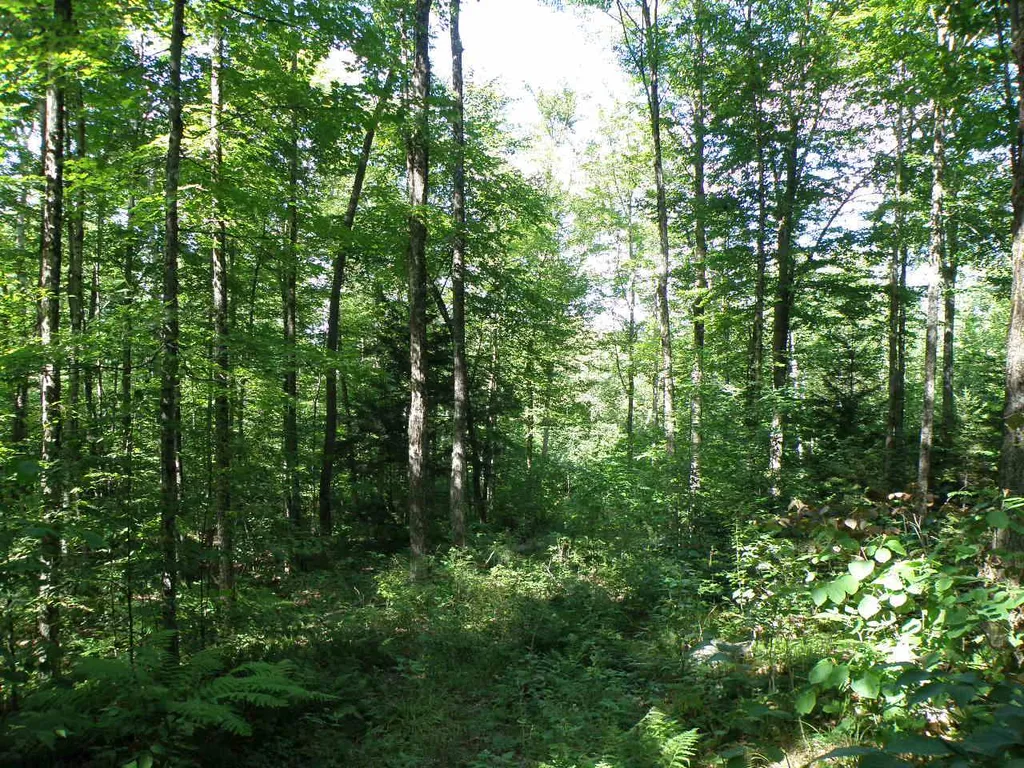 0 Byam Road Bethel VT 05032
