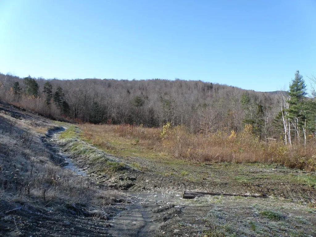 0 Byam Road Bethel VT 05032