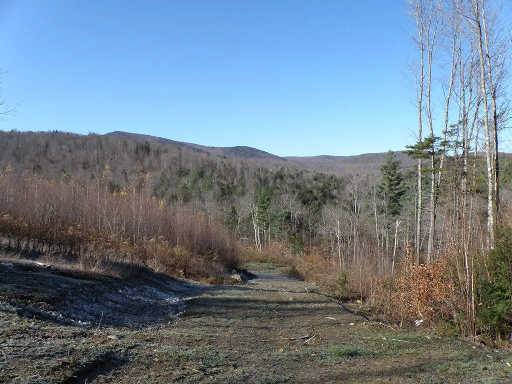 0 Byam Road Bethel VT 05032