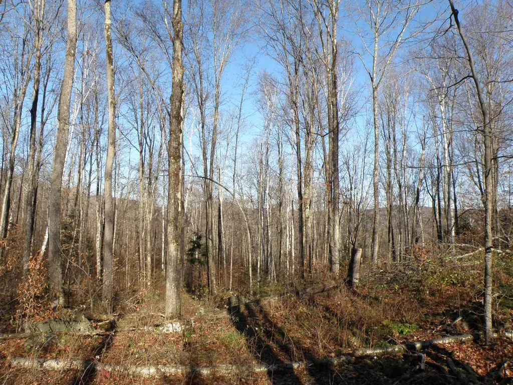 0 Byam Road Bethel VT 05032