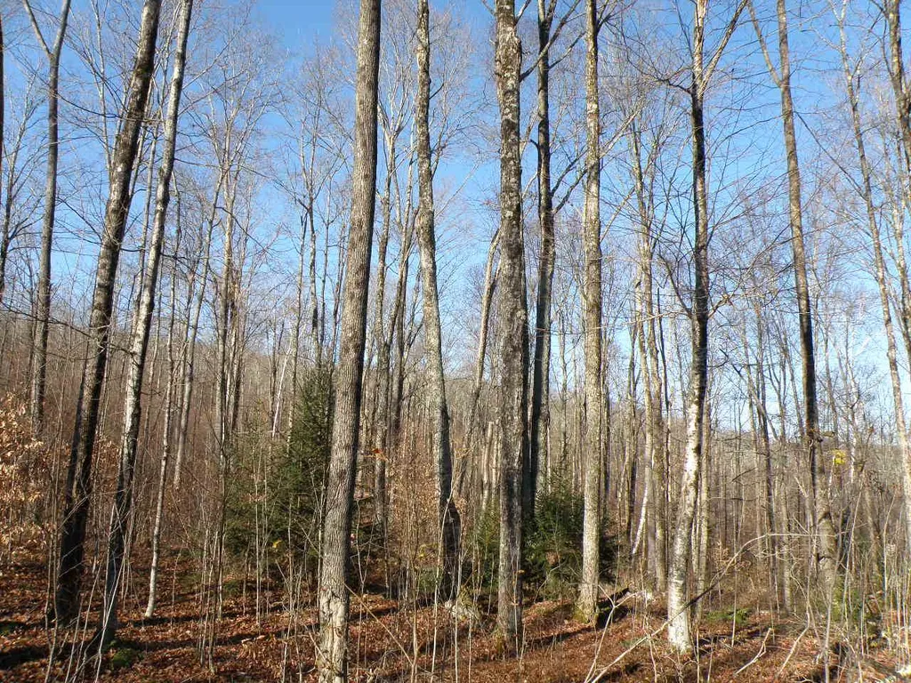0 Byam Road Bethel VT 05032