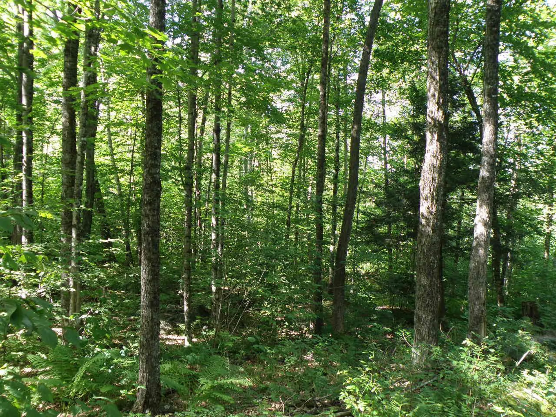 0 Byam Road Bethel VT 05032