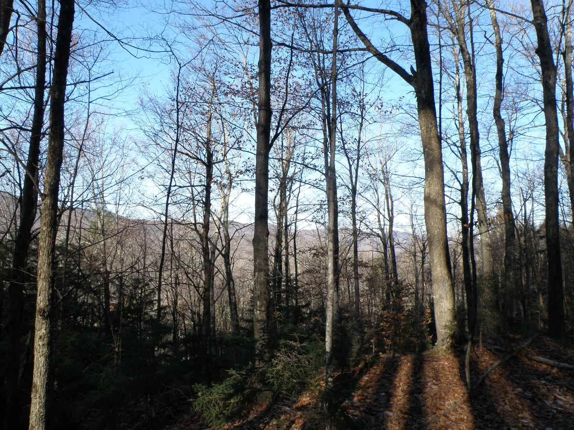 0 Byam Road Bethel VT 05032