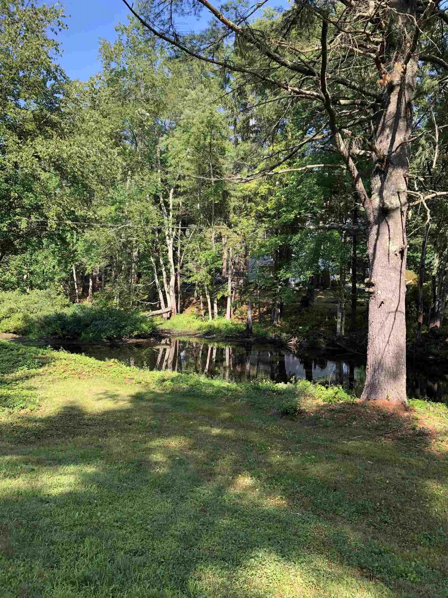 4 Sawmill Drive Swanzey NH 03446