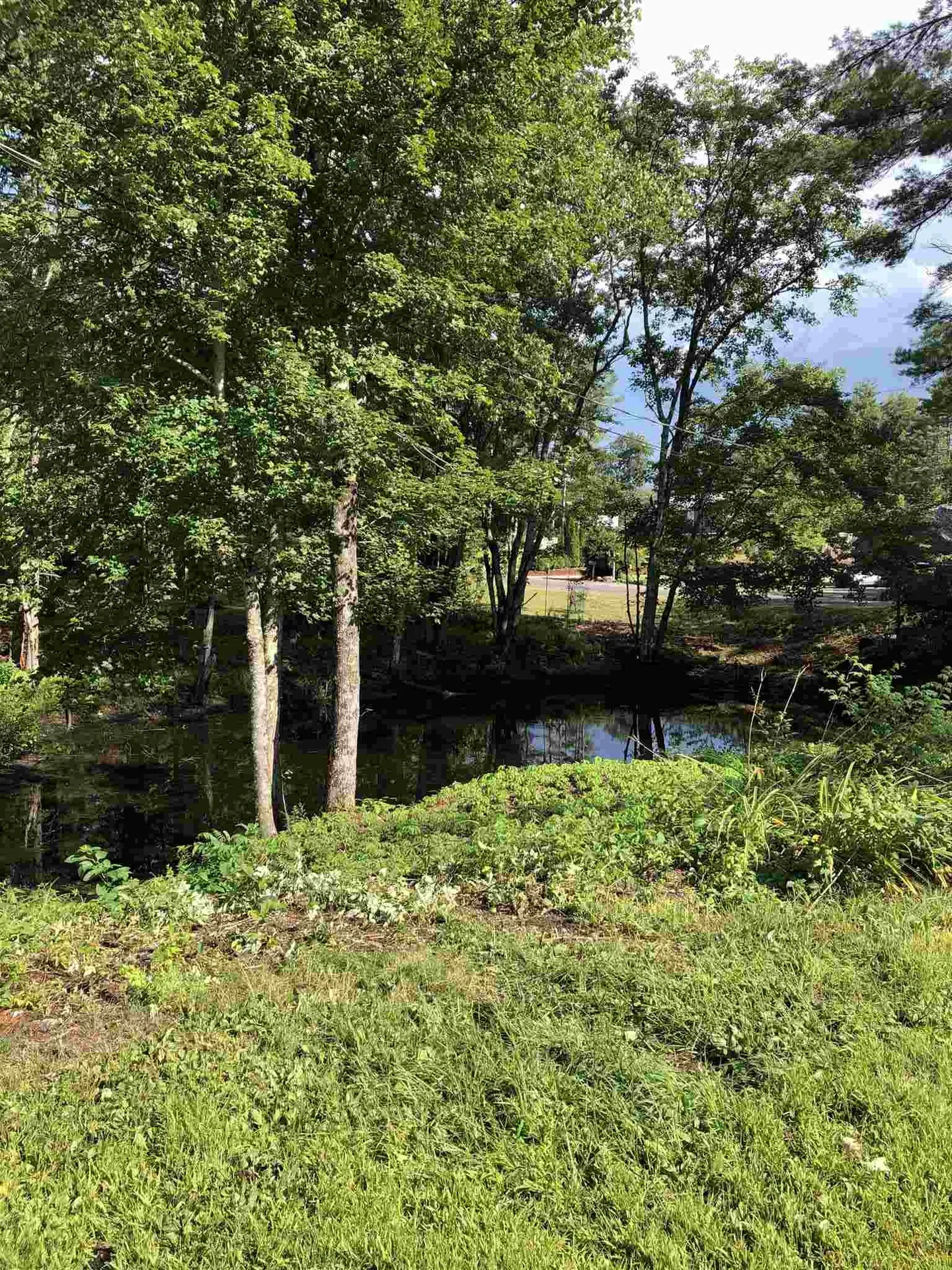 4 Sawmill Drive Swanzey NH 03446