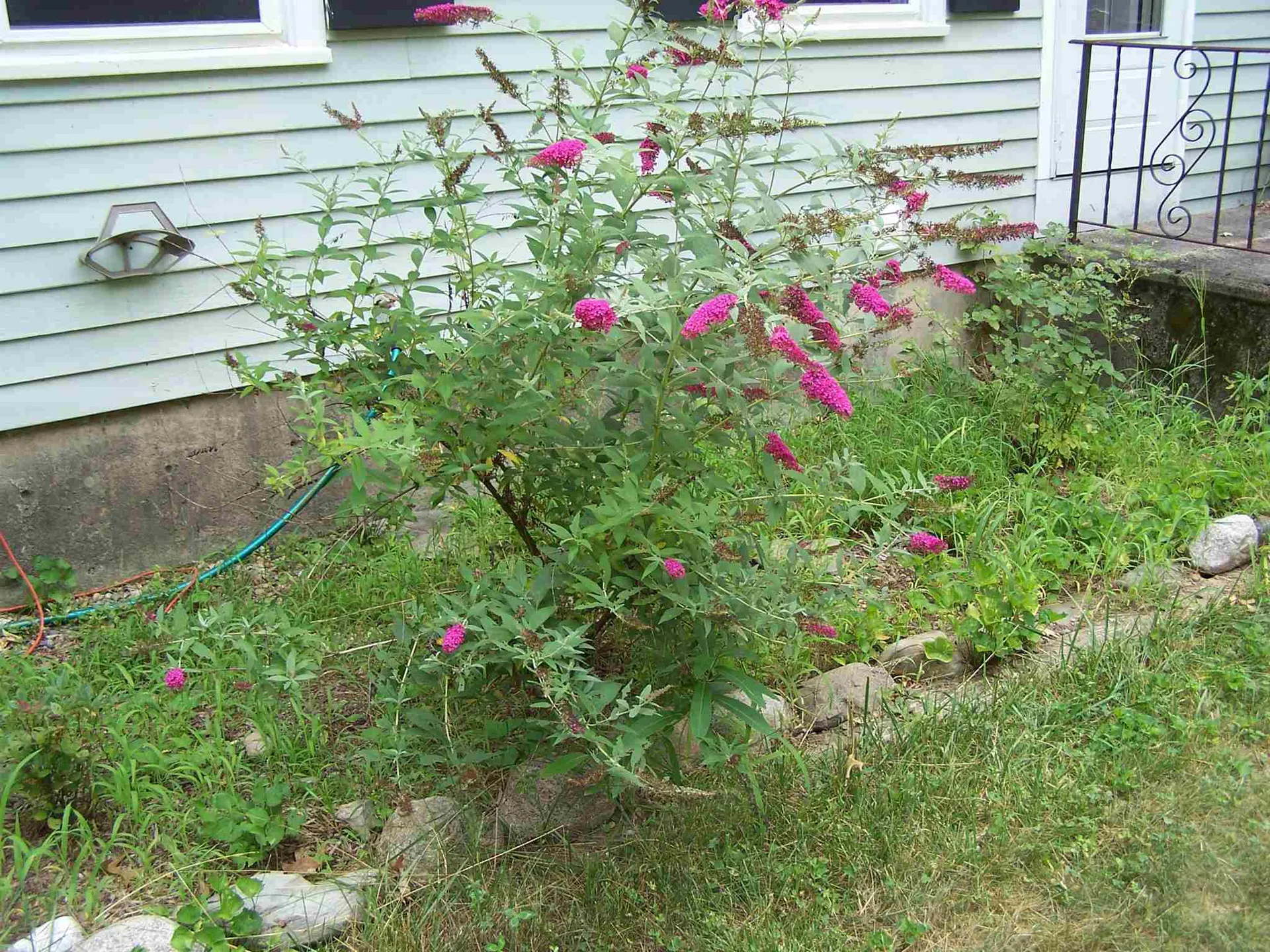 8l Topaz Circle Derry NH 03038