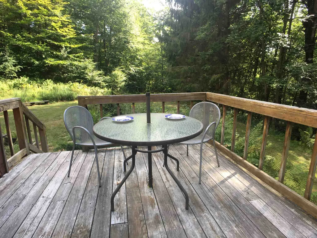 238 Sophies Way Sandgate VT 05250