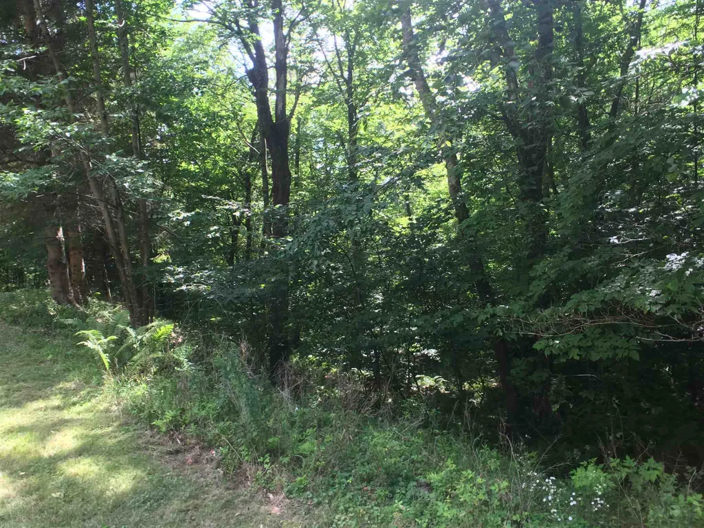 238 Sophies Way Sandgate VT 05250