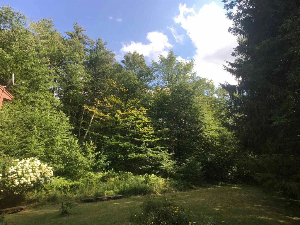 238 Sophies Way Sandgate VT 05250