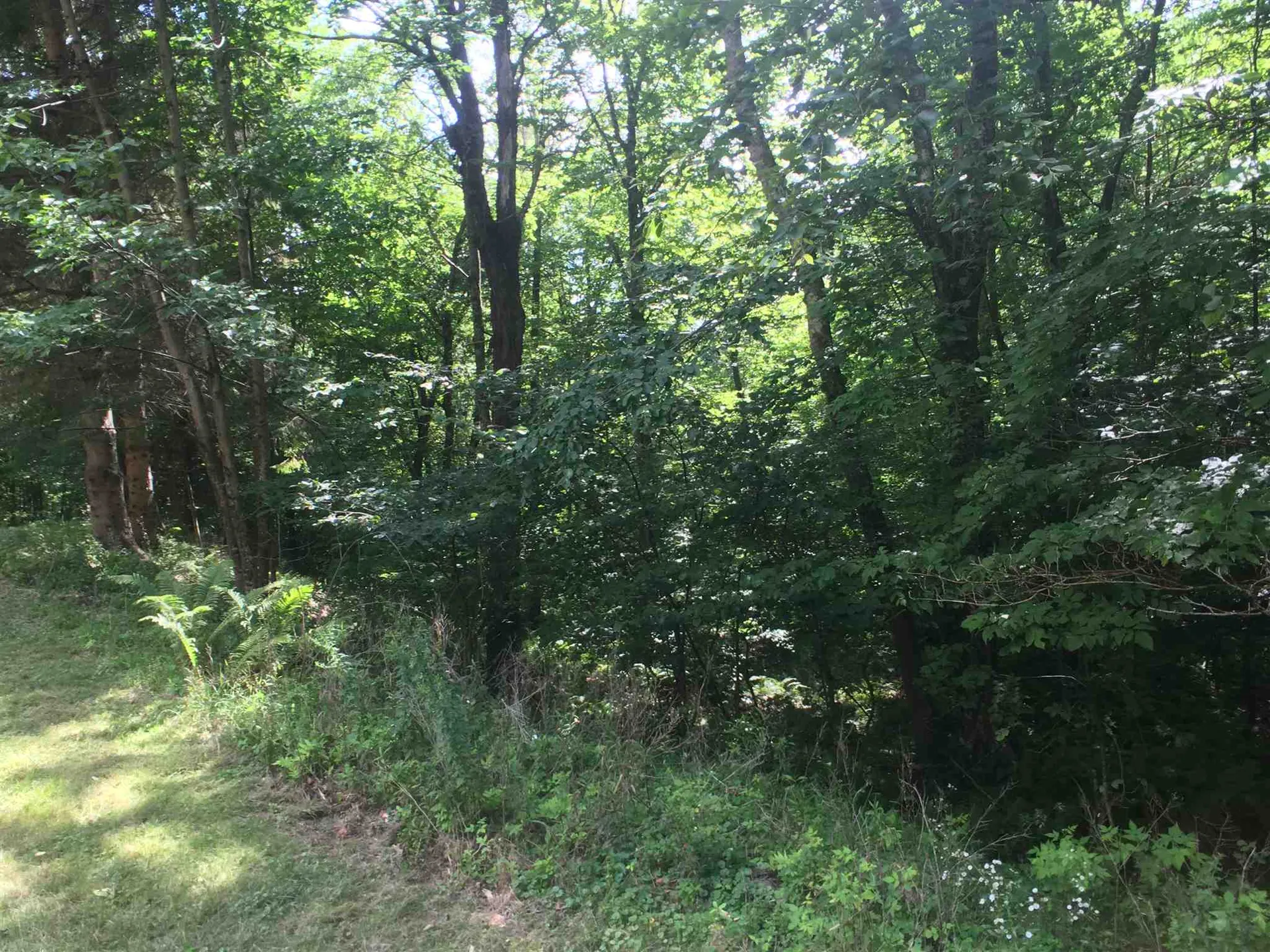 238 Sophies Way Sandgate VT 05250