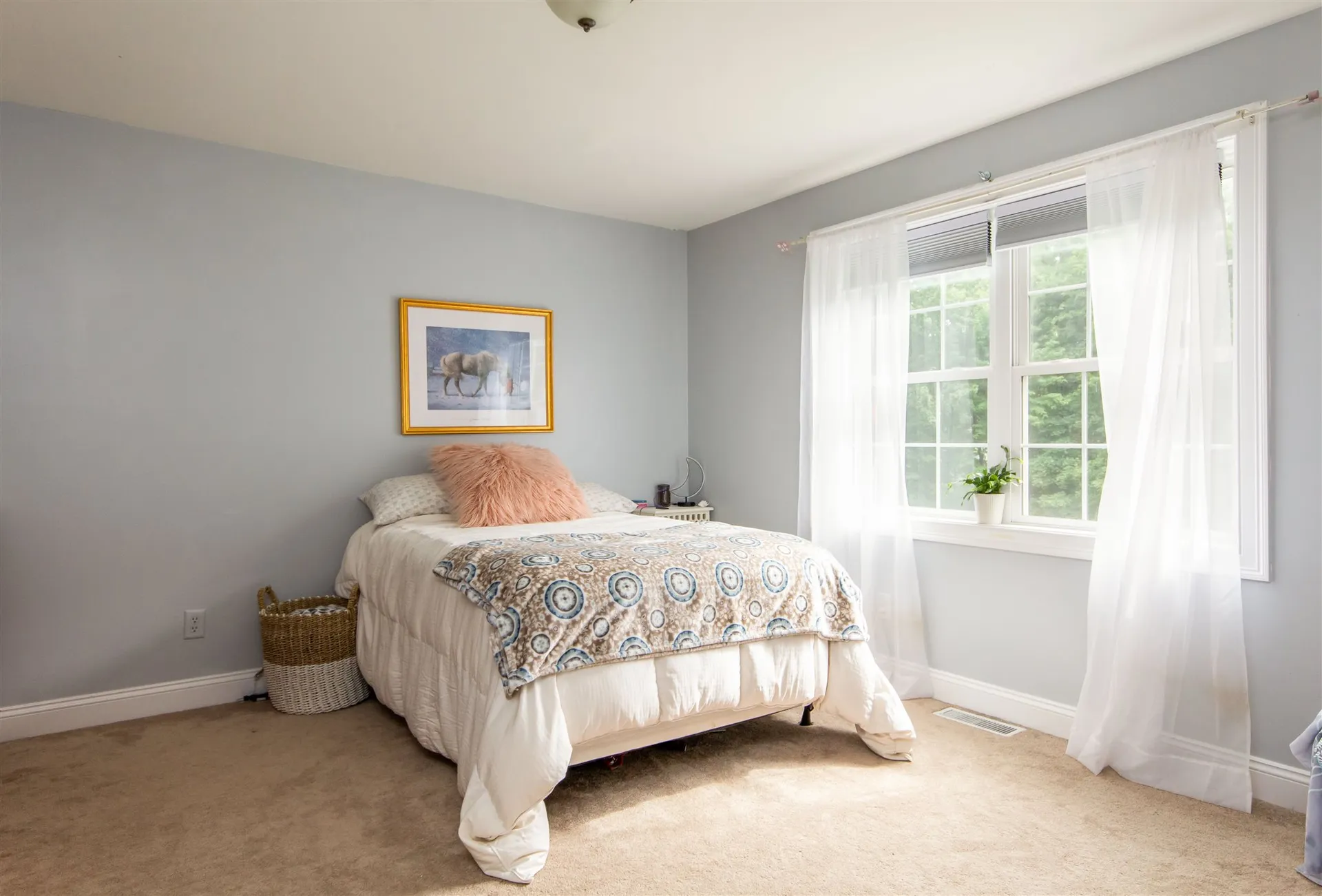 206 Wall Street Colchester VT 05446